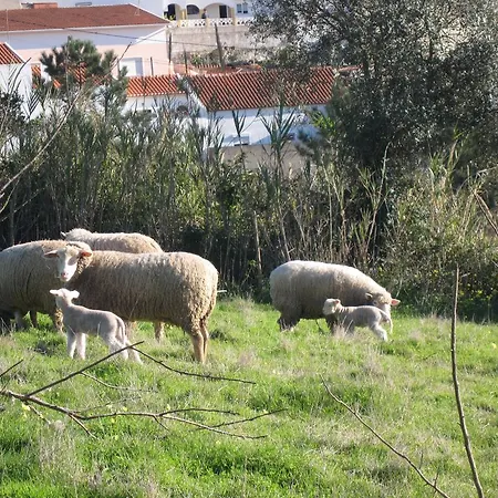 Alojamento de Acomodação e Pequeno-almoço Porto Monte Maceira (Lisbon)