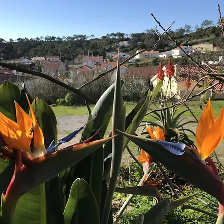 Porto Monte فندق مبيت وإفطار 3*