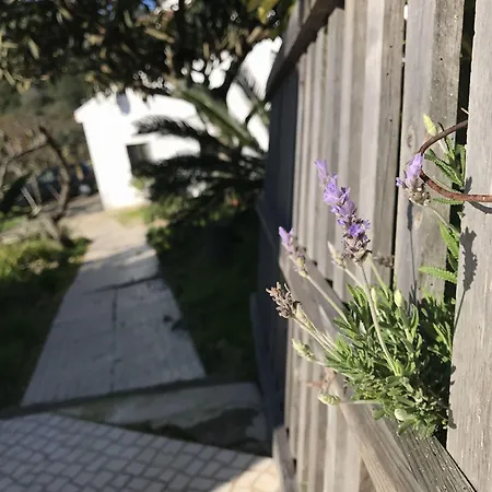 Porto Monte ماسيرا